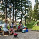 정선파인케어빌 이미지