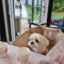 자라목펜션 이미지