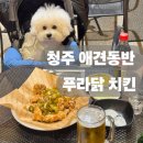 하나애견 | 청주 애견동반 맛집 명암타워 푸라닭치킨 야장 후기 (고추마요 솔직리뷰)