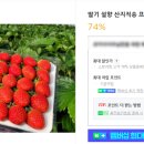 강릉원예사 이미지