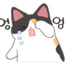 팡팡피씨 이미지