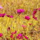 희망행정사 이미지