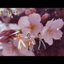 벚꽃나무