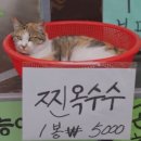 하도휴양소 | [4월] 내가 사라져볼게 얍! 4월 순삭