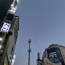 하노이맥주밤거리 안양일번가점 | [안양] 하노이맥주밤거리 안양일번가점 방문 후기