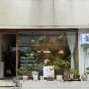 반포꽃집 <나무수플라워앤가든> 반려식물 후기 | 강남 꽃배달 꽃집 추천
