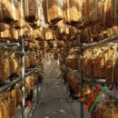 도화리마을 이미지