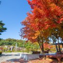 화랑유원지_관리사무소주변 이미지