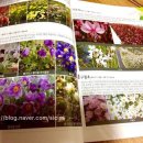 농업회사법인(주)에버그린 이미지