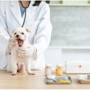 은계동물병원 이미지