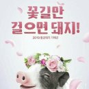 참사랑 안경 Daum카페
