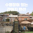 콩밭매는 강아지 이미지