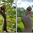 오석농장 이미지