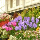 호텔첼시 이미지