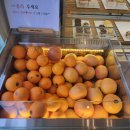 카페미뇽 이미지