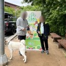 땡큐댕댕 | [강원도/정선] &#39;댕댕트레킹 2025&#39; (꿀팁, 강형욱, 브이로그)