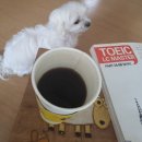 뚜레쥬르 초장점 이미지