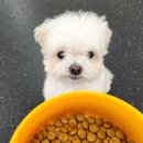 텃밭약국 이미지