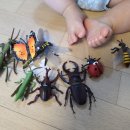 후천농장 이미지