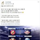 치킨토토