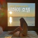 씨하이호텔(씨하이모텔) | 통창뷰 노을이 끝내주는 오이도 오션뷰 호텔 씨하이 VIP 룸 숙박 후기!