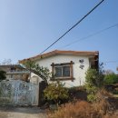 폴리민박 이미지