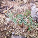 천지배농장 이미지