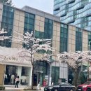 라인1차세탁소 이미지