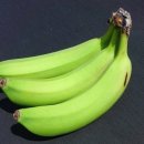 해머하우스 이미지