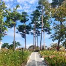 모전공원(놀이터) 이미지