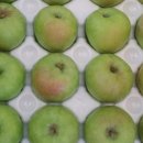 선바위농원 이미지