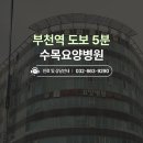 수목부천병원 Daum카페