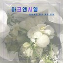 냐옹이네꽃집 | 송파 잠실 꽃집 - 감성 가득 섬세 맞춤 제작 "아크앤시엘" (+예쁜 촬영 부케)