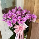 양재천사유치원 이미지
