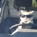 그곳만이 내 세상 이미지