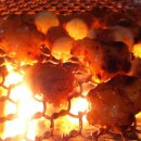 막창선생 이미지