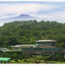 감귤게스트하우스 이미지