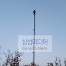 롱캠