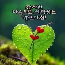 아름다운 섬 에서~감사한 마음으로 좋은아침에 이미지