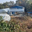 염소농장 이미지