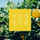 진짜 먹거리를 드시고 싶으세요? 그럼 여기서 장 보세요^^