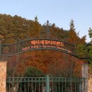 일품양평해장국 담양메타프로방스점 | 담양 단풍 명소 메타세쿼이아길 주말 방문(주차, 입장료)