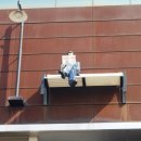 김인배농장 이미지