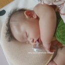 웅진한우 이미지