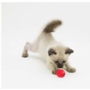 재미월드 이미지