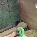 해든뮤지움 | 강화도 여행 코스2 - 프렌쥬랜드, 전등사, 해든뮤지움