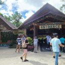 반딧불안경 이미지