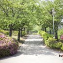 모다아울렛미소페