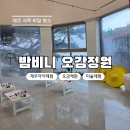 방배중앙로7길 35-24 | 제주 애월 밤비니 오감정원 실내체험 촉감놀이 후기