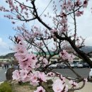 김해건설공업고등학교 이미지